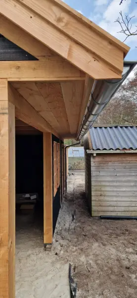 Kapschuur4